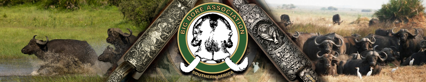 Big Bore Association of Southern Africa